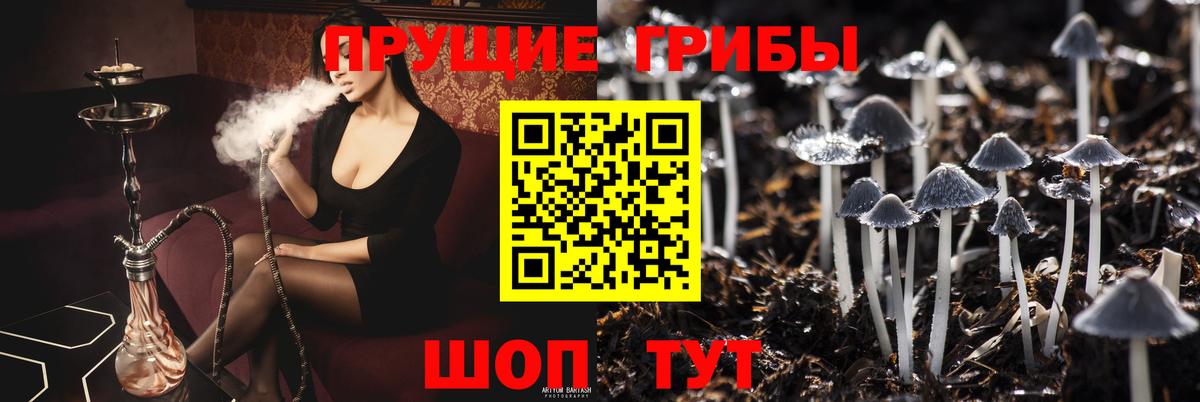Псилоцибиновые грибы MAGIC MUSHROOMS  как найти закладки  Ухта  Псилоцибиновые грибы Psilocybine cubensis  Вход с VPN 